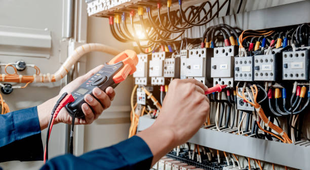 Best Ceiling Fan Installation Electrician  in Elk Plain, WA